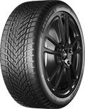 Pneumatico DUNLOP 195/50 R16 88H WINTER M+S FR XL